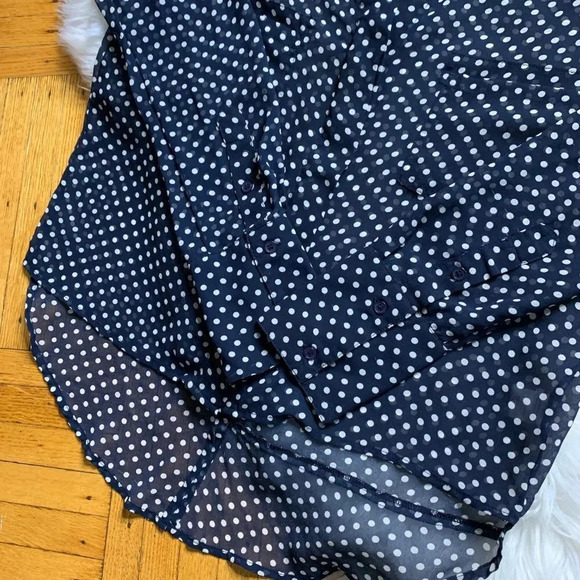 Tea n Rose Sheer Button-down Blouse - Picture 4 of 5